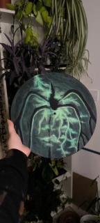Vinyl Mind flayer